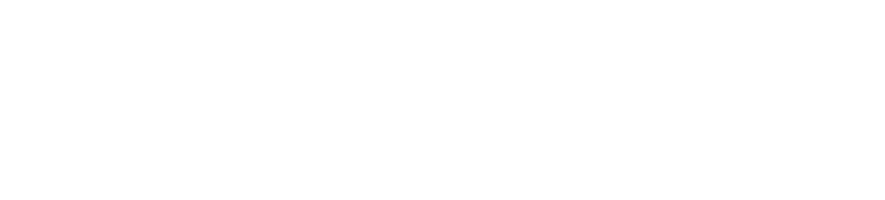Volantis Professional Flight School